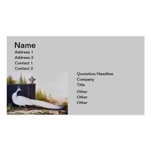 White Peacock Business Card Templates (back side)