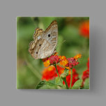 White Peacock Butterfly Button buttons