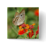 White Peacock Butterfly Button