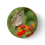 White Peacock Butterfly Button