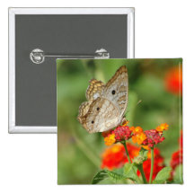 White Peacock Butterfly Button