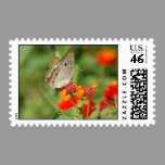 White Peacock Butterfly Postage postage