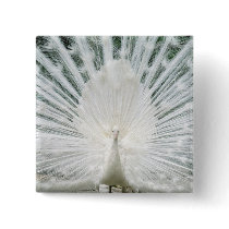 White Peacock buttons