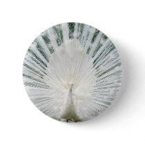 White Peacock buttons