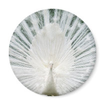 White Peacock magnets