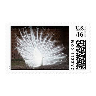 White Peacock stamp