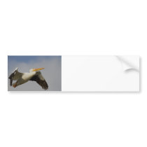 White Pelican Departure Bumper Sticker