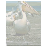 White Pelican Personalized Letterhead