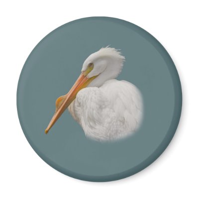 White Pelican Magnet by GrandmaDee