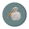 White Pelican Magnet by GrandmaDee White Pelican Magnet