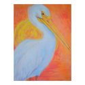 "White Pelican Summer" posters by Artinua "White Pelican Summer" posters