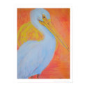 "White Pelican Summer" - White Border posters by Artinua "White Pelican Summer" - White Border posters