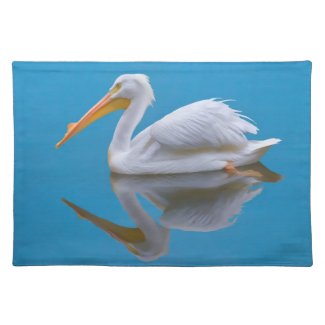 white pelican with reflection