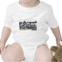 White Pelicans Bodysuits