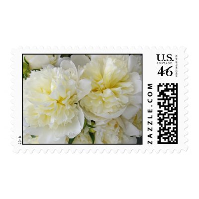 White Peonies Postage Stamps