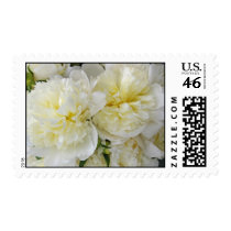 White Peonies Postage Stamps