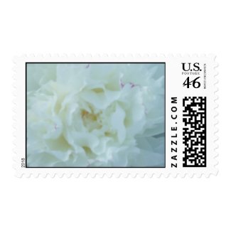 White Peonies Wedding Postage Stamps Peony stamp