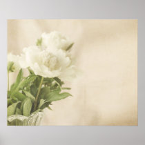 White Peony Art  Print