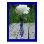 White Peony Blue Caesar Crystal Czech Vase Post Cards