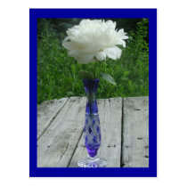 White Peony Blue Caesar Crystal Czech Vase postcards