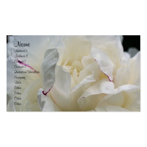 White Peony Flower Petals Nature Business Card