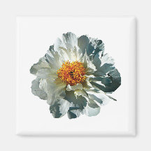White Peony in Sunshine Magnet