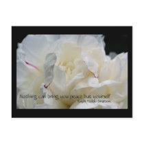 White Peony Inspirational Flower Photo Postcard