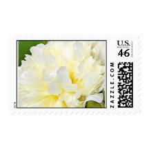 White Peony Postage