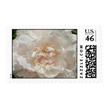 White Peony Stamp