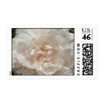 White Peony Stamp