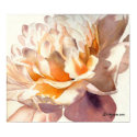 White Peony Watercolor Poster Print by lillyarts White Peony Watercolor Poster Print