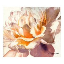 White Peony Watercolor Poster Print