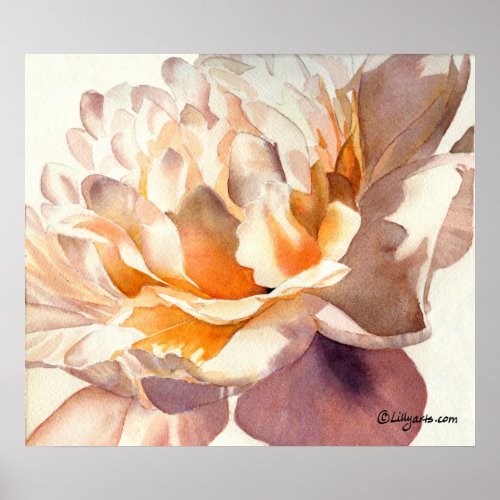 White Peony Watercolor Poster Print print