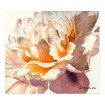 lillyarts, watercolor