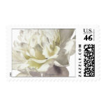 White Peony Wedding Postage