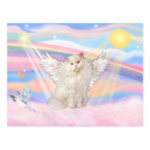 White Persian Cat Angel in Clouds Postcard Zazzle