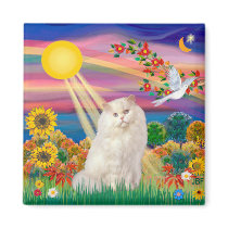 White Persian Cat - Autumn Sun magnets by catartgifts White Persian Cat - Autumn Sun magnets
