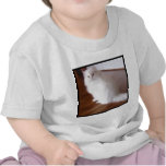 White Persian Cat baby shirt