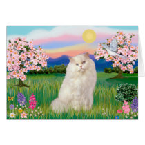 White Persian Cat - Blossoms cards by catartgifts White Persian Cat - Blossoms cards
