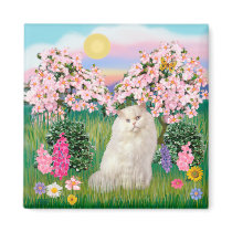 White Persian Cat - Blossoms magnets by catartgifts White Persian Cat - Blossoms magnets
