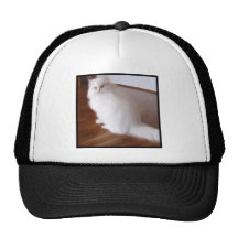 White Persian Cat Cap Trucker Hat
