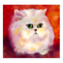White Persian Cat Fine Art Print