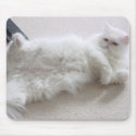 White Persian Cat Mouse Pad mousepads
