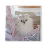 White Persian Cat on a Pink Chair Fridge Magnets