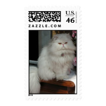 White Persian Cat postage