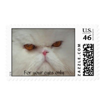 White Persian Cat postage