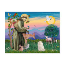 White Persian Cat - Saint Francis postcards by catartgifts White Persian Cat - Saint Francis postcards