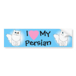 White Persian Cat w/ Odd Eyes Bumper Stickers