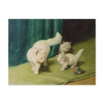 White Persian Cat with Two Kittens Post Card