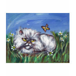 White Persian eyes butterfly Shirt